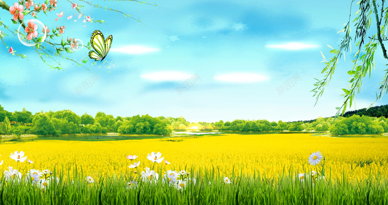 蓝天白云手绘风景油菜田金色蝴蝶背景psd设计背景_88icon https://88icon.com 手绘 油菜田 白云 素材 背景 蓝天 蝴蝶 金色 风景