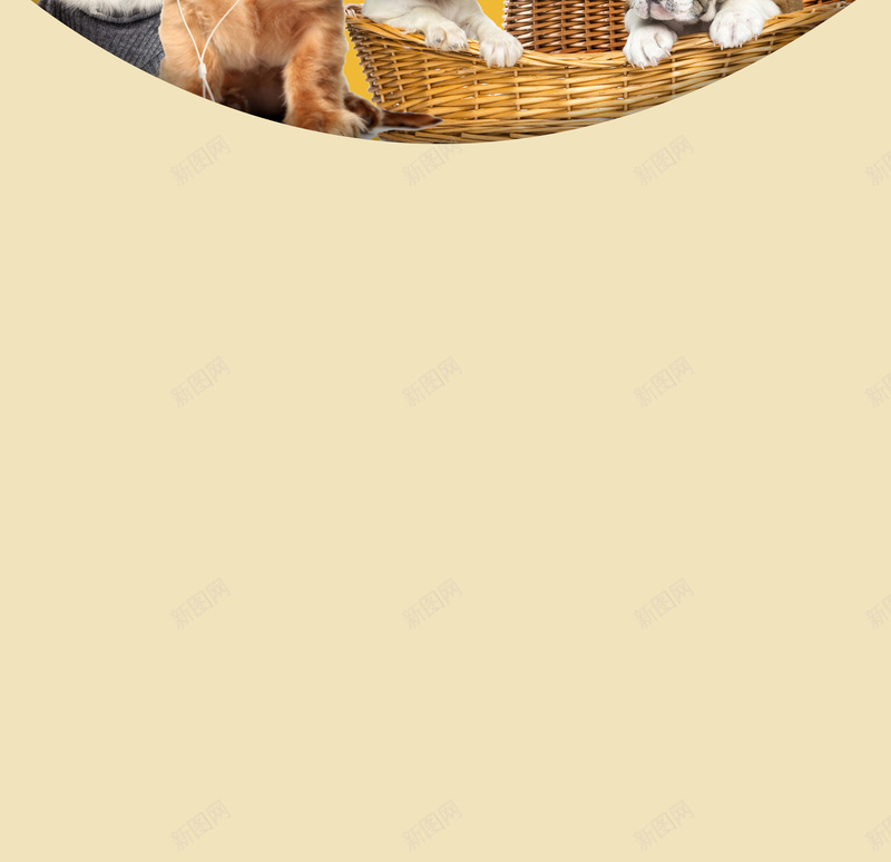 宠物店展架背景psd设计背景_88icon https://88icon.com 买就送 人类最好的朋友 全场包邮 天然狗粮 天然猫粮 宠物 宠物保健品套餐 狗狗 猫咪