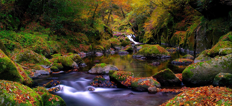 秋季森林河流溪流背景banner摄影图片