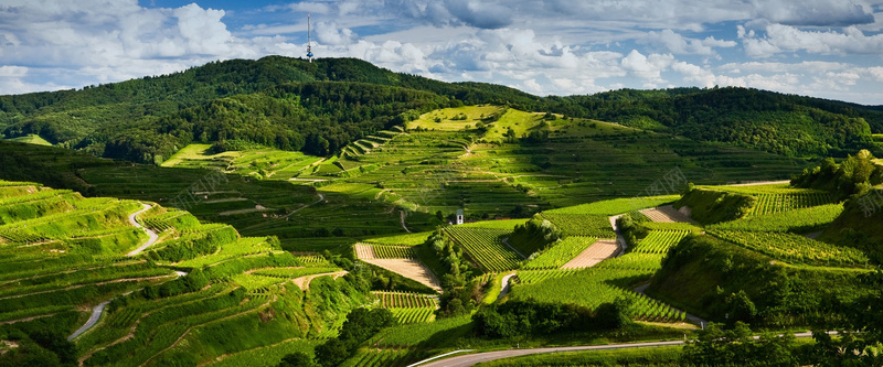 深山梯田风景jpg_88icon https://88icon.com 大气 摄影 无污染 梯田 海报banner 环保 绿色 风景