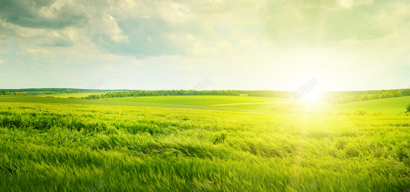 草原蓝天白云jpg_88icon https://88icon.com 摄影 日光 海报banner 田园 白云 草原 蓝天 风景