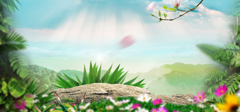 芦荟背景图背景