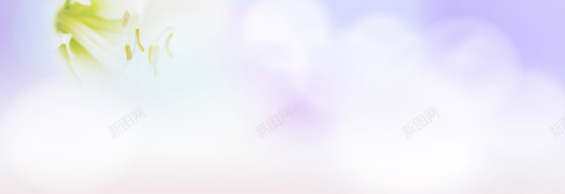 唯美紫色浪漫海报背景psd设计背景_88icon https://88icon.com 其他 女包 小清新 服装 海报banner 海报设计 花瓣 荷花