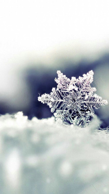 雪花雪结晶背景摄影图片
