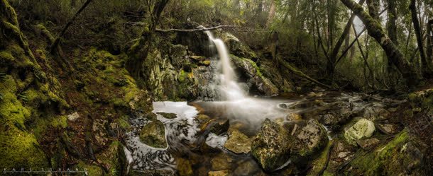 绿色森林流水摄影摄影图片