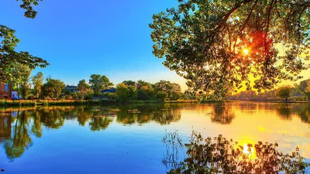 蓝天阳光树木湖水背景
