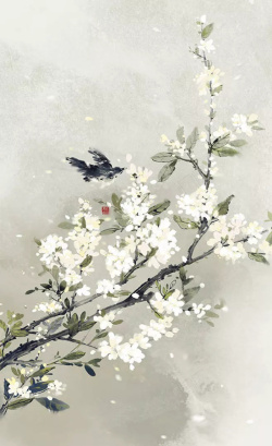 叼花的鸟中国风的梨花海报高清图片