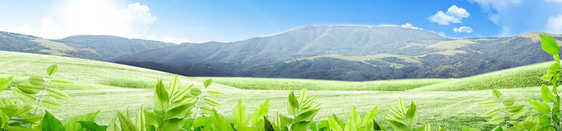 春草地天空大山树木背景