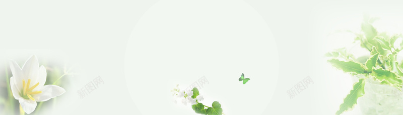 夏日百合psd_88icon https://88icon.com 夏天 摄影 海报banner 百合 绿色 风景