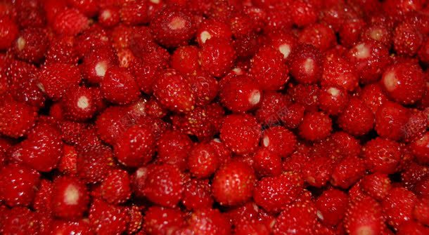 红色小草莓水果背景