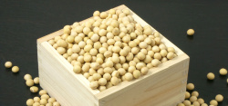 卵磷脂大豆黄豆卵磷脂大豆油大豆粉营养淘宝背景高清图片