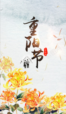 手绘水彩菊花重阳节背景