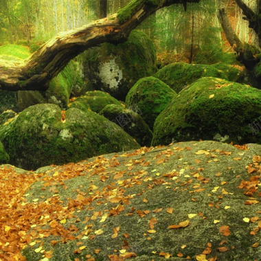 摄影首图摄影图片