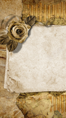 老旧玫瑰花边框白色纸张H5背景背景