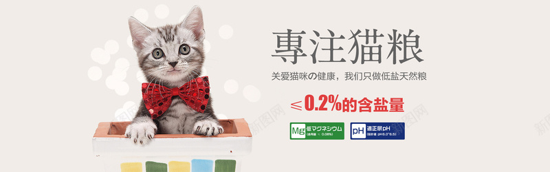 猫粮背景图jpg设计背景_88icon https://88icon.com 促销 宠物 海报banner 猫粮