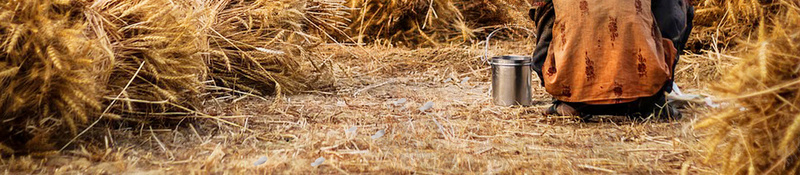 五谷杂粮丰收稻米小麦海报背景psd设计背景_88icon https://88icon.com 丰收 五谷杂粮 养生磨坊 包装 包装设计 大米 小米 小麦 有机杂粮 杂粮包装袋 标贴设计 水稻 海报 燕麦 牛皮纸 白面 碗筷子 稷 稻米 粗粮中国风 粮食 素材 细粮 菽 高粱 麦 麦子 黄豆 黍