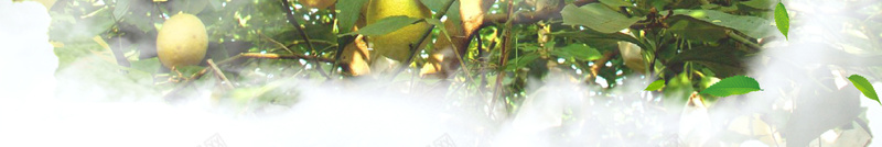 水墨柠檬果园广告宣传海报背景psd设计背景_88icon https://88icon.com 广告设计 开心 柠檬 柠檬宣传 柠檬广告 柠檬果园 柠檬汁 水果超市 海报背景 蜜浸柠檬 超市传单 采摘园 青柠檬