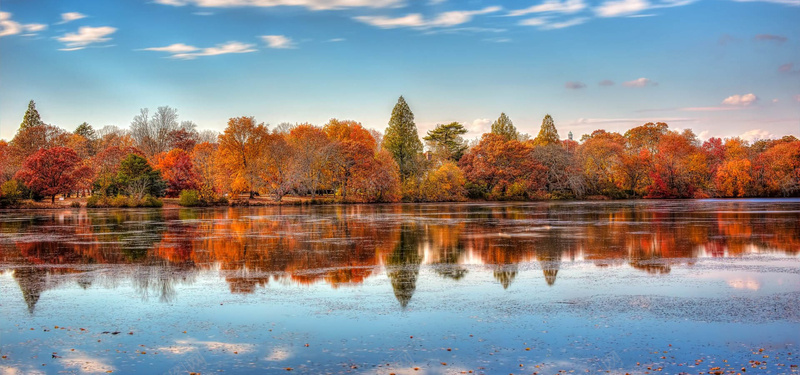 秋天红色枫叶树林背景摄影图片