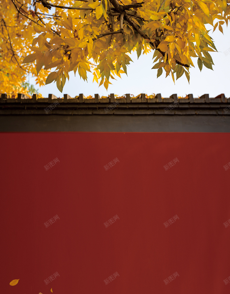 中国风立秋节气海报psd设计背景_88icon https://88icon.com 中国风 初秋上新 墙 树叶 树枝 秋天 立秋 节气海报