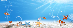 海底鱼儿夏季小清新蓝色海报背景高清图片