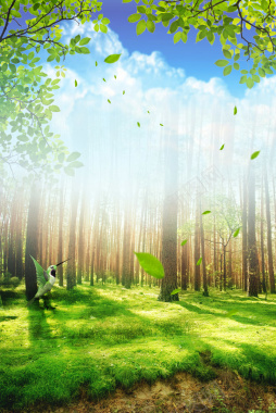 绿色森林树林风景摄影叶子合成背景摄影图片