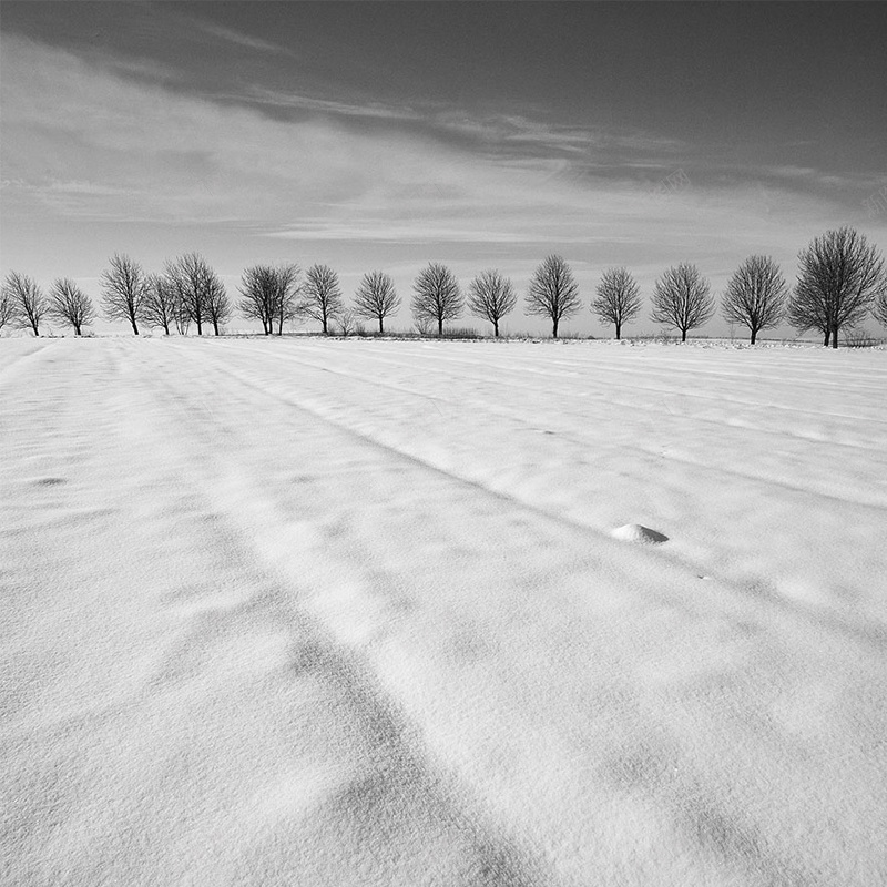 雪天的荒野psd_88icon https://88icon.com 主图 摄影 荒野 雪地树荒野 风景