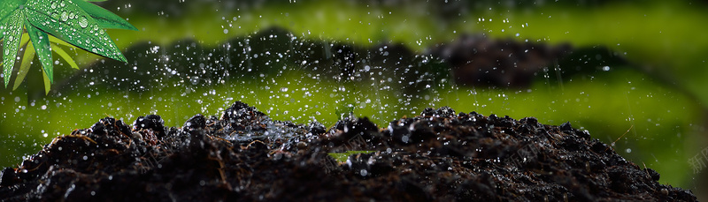 雨鞋背景bannerpsd设计背景_88icon https://88icon.com 树枝 泥土 海报banner 绿色 雨露