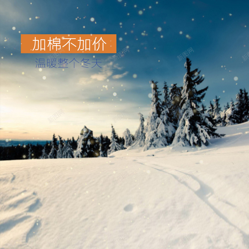 冬季雪景psd_88icon https://88icon.com 主图 冬季 摄影 松树 雪景 风景