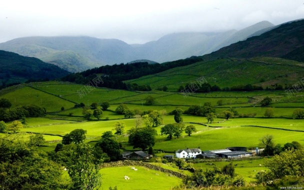 田园风光美景背景