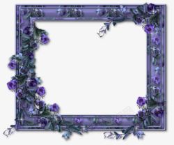 紫色树藤紫色神秘花藤相框高清图片