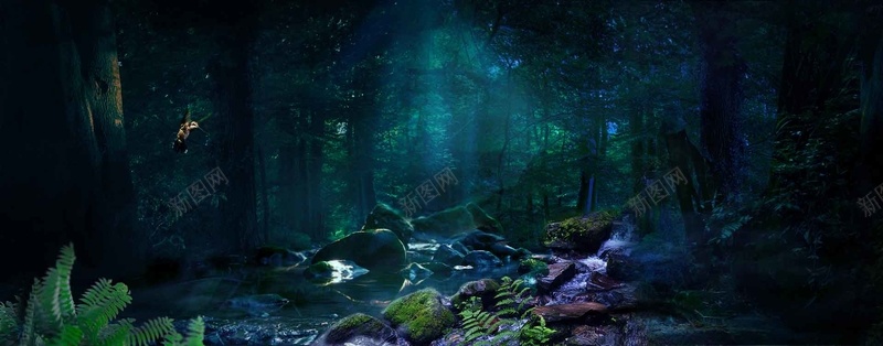 淘宝梦幻森林海报背景psd设计背景_88icon https://88icon.com 光线 小溪 树林 植物 海报 石头 背景 苔藓 蜂鸟
