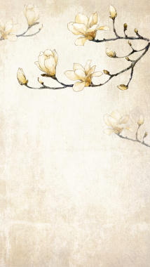 中国风玉兰花枝质感古典H5背景背景