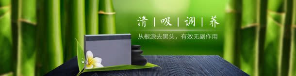 绿色竹子banner海报背景