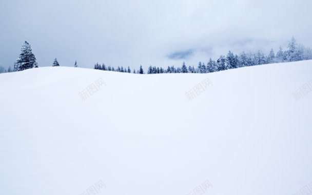 雪地室外场景森林背景