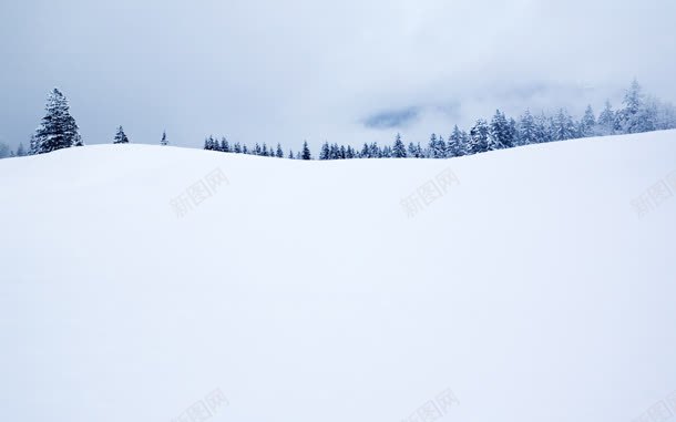 雪地室外场景森林jpg设计背景_88icon https://88icon.com 场景 室外 森林 雪地