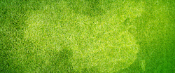 绿色草地质感E绿色海报背景高清图片