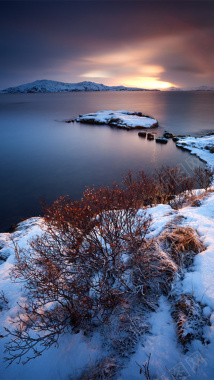 冬季摄影美景H5背景摄影图片