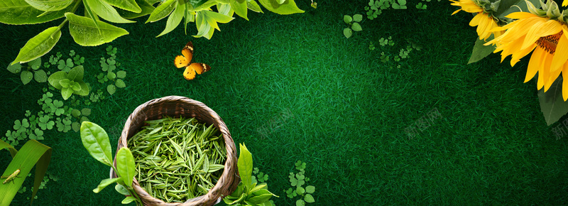 春季茶叶清新绿色电商海报背景背景
