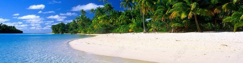 海滩椰树摄影背景摄影图片
