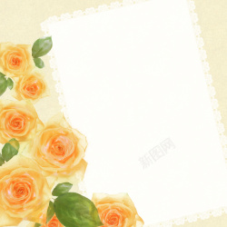 花瓣墙纸玫瑰花装饰相册边框背景高清图片