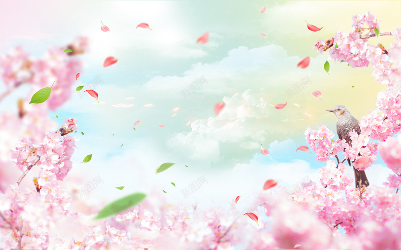 唯美浪漫樱花节海报背景psd设计背景_88icon https://88icon.com d psd 唯美浪漫樱花节海报 宣传 樱花节 樱花节促销 樱花节展板 樱花节活动 樱花节海报