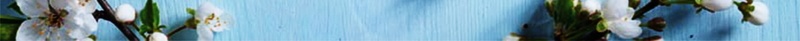 春季新品促销背景模板psd设计背景_88icon https://88icon.com PSD 平面 广告 新品上市 春天上新撕 春季新品 春季新品促销海报PSD分层素材 桃花 模板 海报 淡雅海报设计模板 破的纸张 突破 素材 背景 花瓣