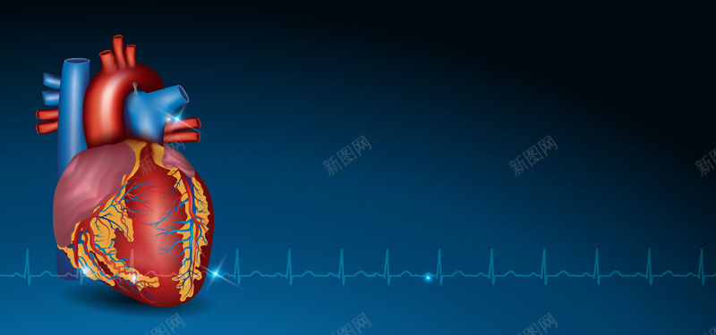 医疗心脏模型psd设计背景_88icon https://88icon.com 其他 医疗心脏模型 心室 心电图 海报banner