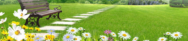 唯美魅力乡村生态游海报背景jpg设计背景_88icon https://88icon.com 乡村小院 乡村游 乡村赏花 农家休闲 农村旅游 农村野味 农村风情 唯美 广告设计 开心 海报背 魅力乡村