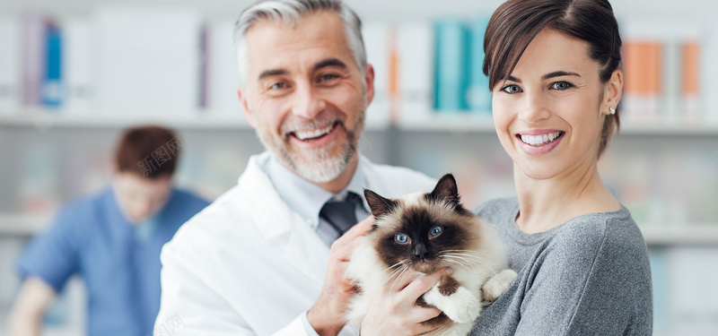动物医院动物诊所背景jpg设计背景_88icon https://88icon.com 动物医院 动物医院宣传 动物医院展 动物医院广告 动物医院海报 动物诊所 宠物诊所展板 宠物诊所海报