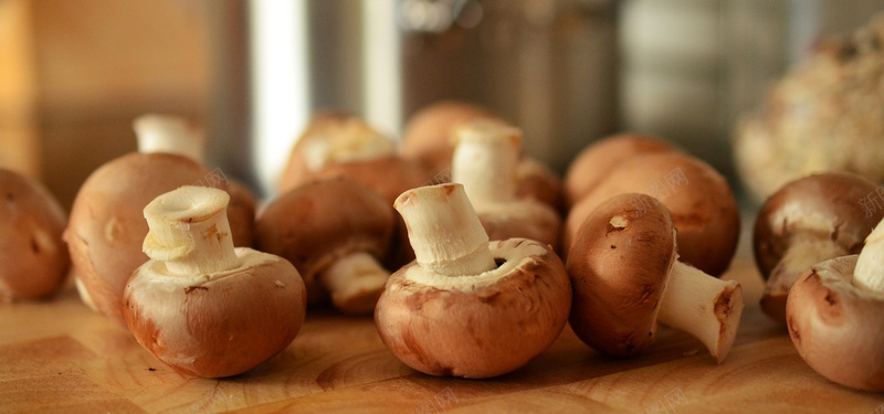 棕色蘑菇背景