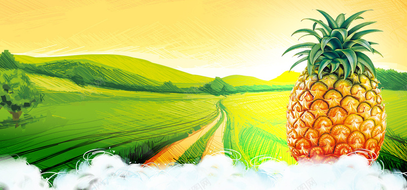 新鲜菠萝宣传海报背景背景