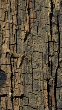 木纹风格H5背景背景