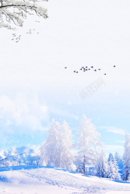 冬季旅行蓝色清新雾凇奇观旅游风景背景背景