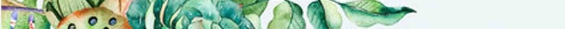 手绘新生植物萃集护肤品海报背景模板psd设计背景_88icon https://88icon.com 产品展示 宣传 手绘 护肤品 新生 植物萃集 活动 海报 背景模板